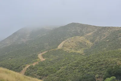 DSC_6842 (Large).JPG